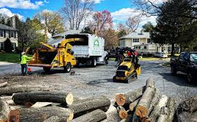 Best Tree Trimming and Pruning  in Blackwell, OK