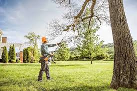 Best Commercial Tree Services  in Blackwell, OK