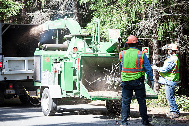 Best Seasonal Cleanup  in Blackwell, OK